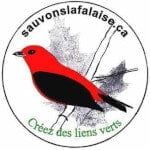 logo Sauvons la Falaise